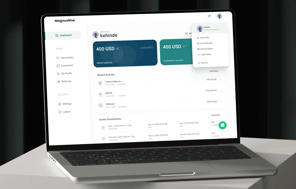 magnusrise investment platform visual 1
