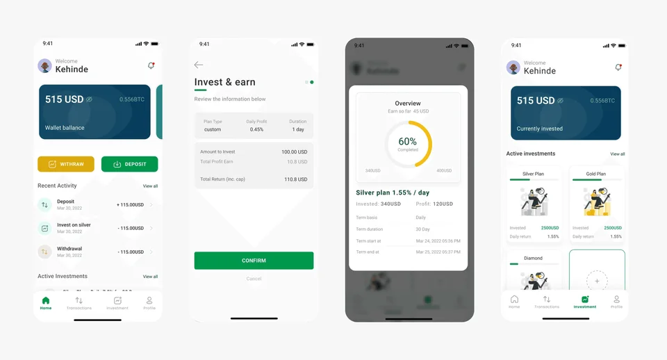 magnusrise investment platform visual 2