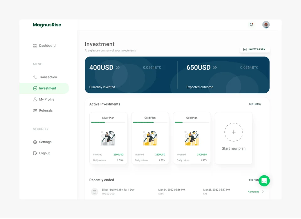 magnusrise investment platform visual 2