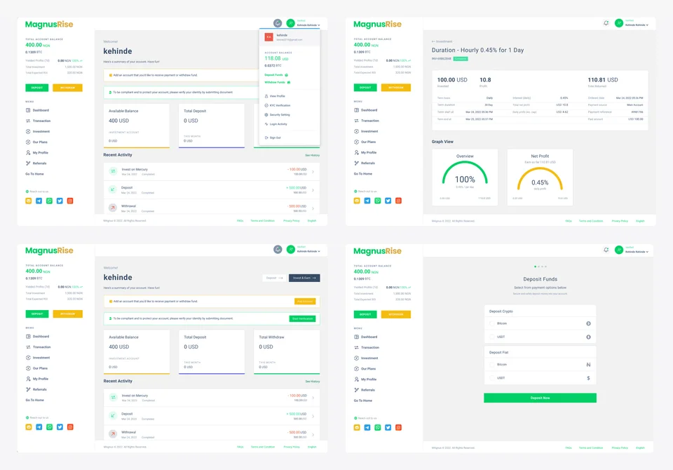 magnusrise investment platform visual 3