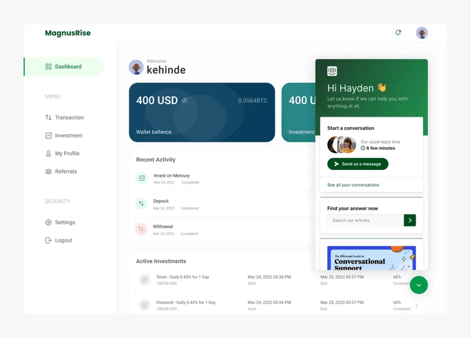 magnusrise investment platform visual 3