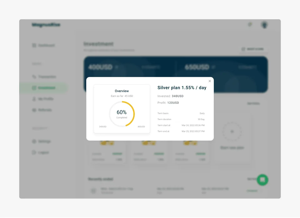 magnusrise investment platform visual 3