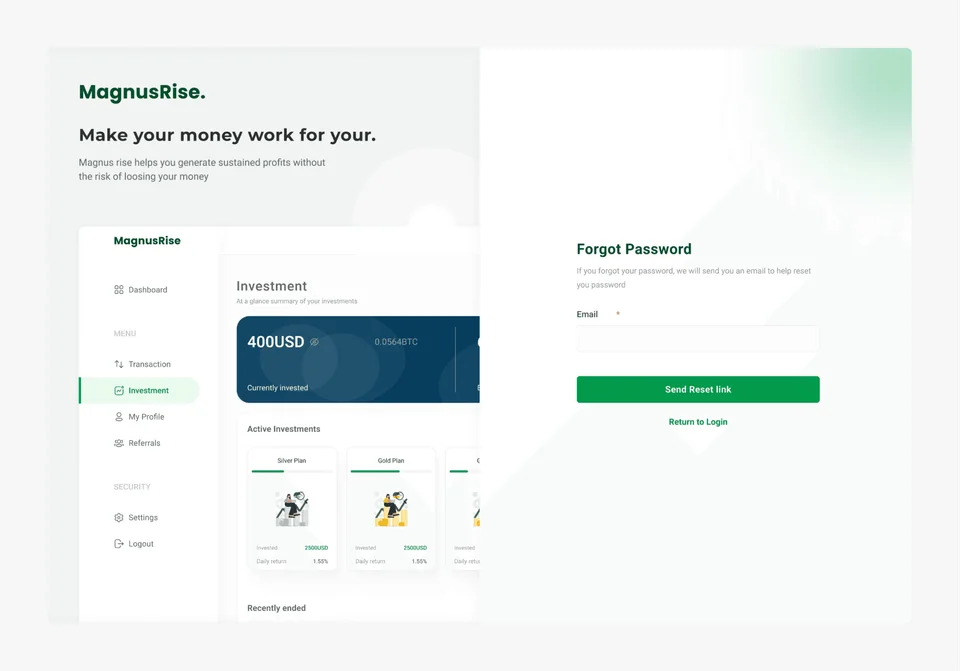 magnusrise investment platform visual 3