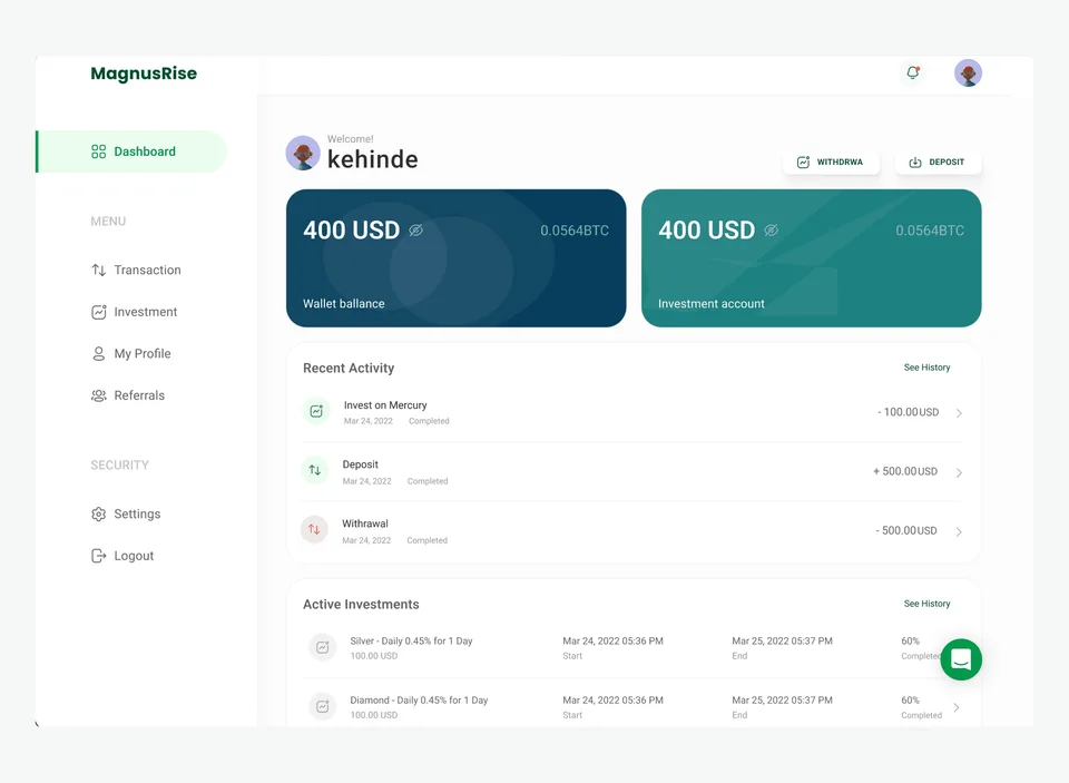 magnusrise investment platform visual 3