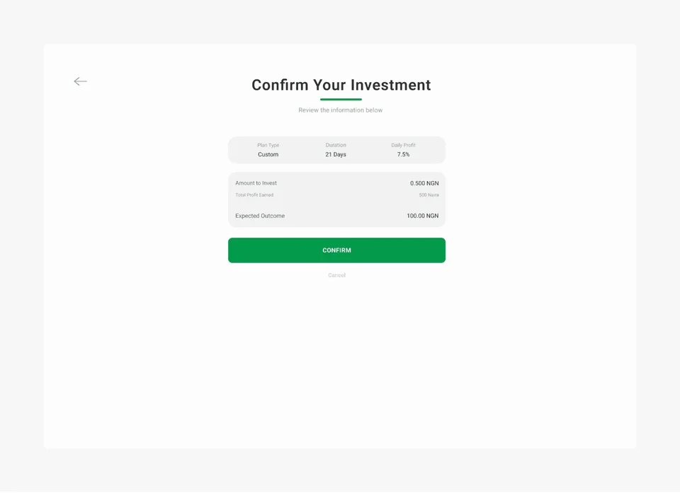 magnusrise investment platform visual 5